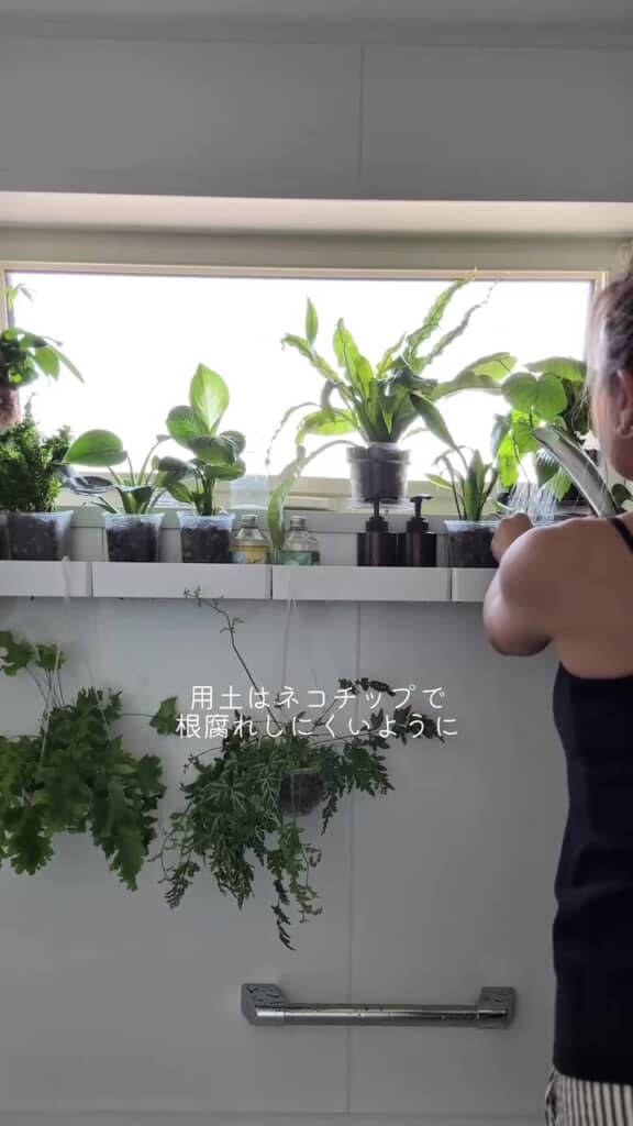 用土は根腐れしにくいネコチップを使用