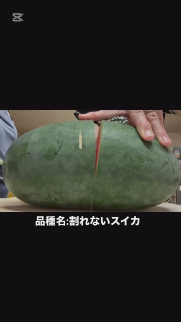 収穫したスイカを切ってみると……？