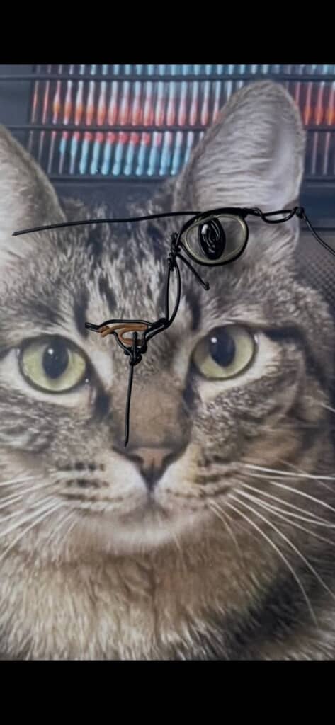 写真に合わせながらワイヤーを曲げて……