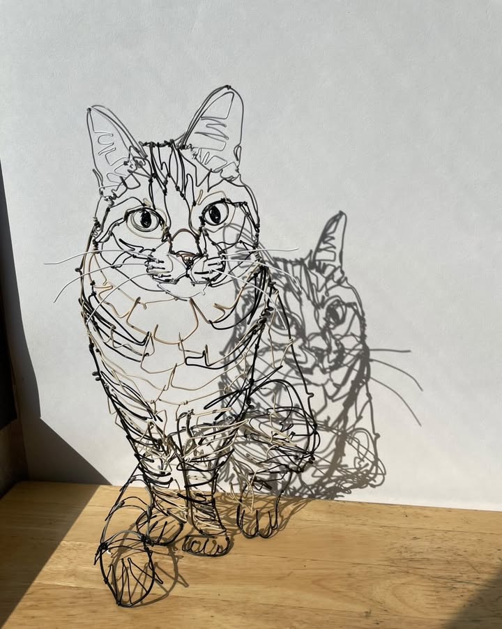 影もまた喜ばれているそうです