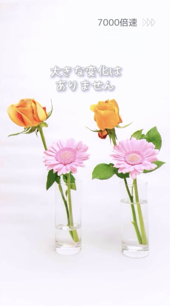 しばらくは変化なし