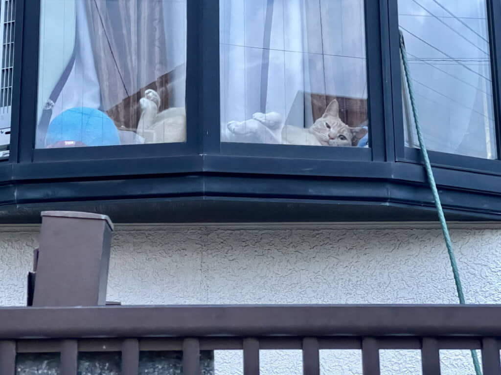 ダニエルさんが出迎えてくれている！