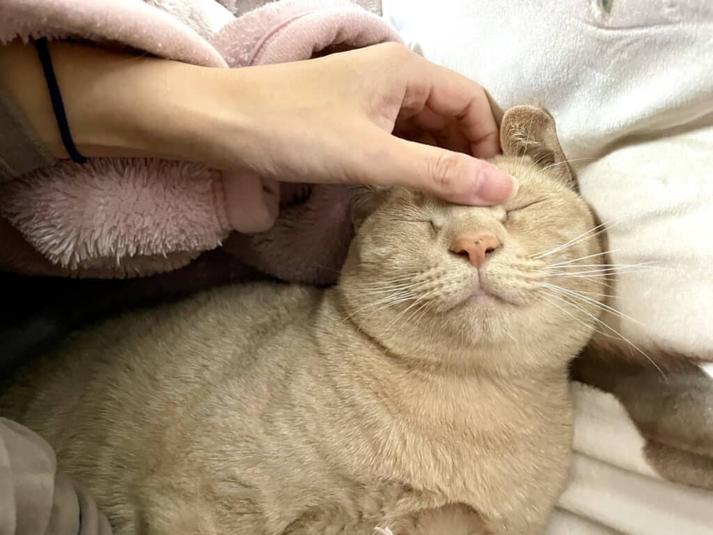 すっごく幸せそう
