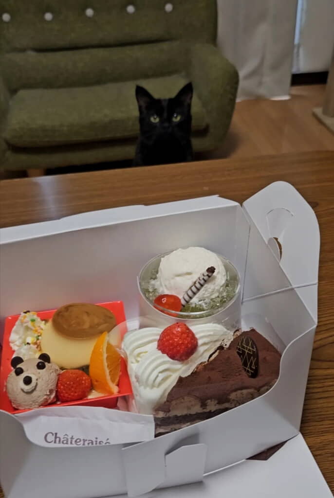 これはもう完全にパーティータイム！