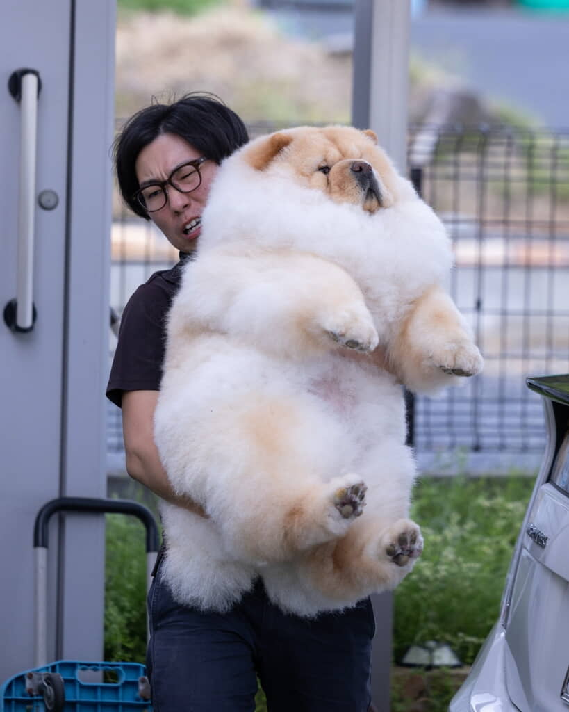 25キロのこまめちゃん