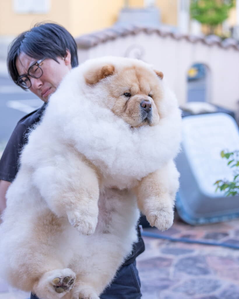 パパさんの苦悩に満ちた表情……