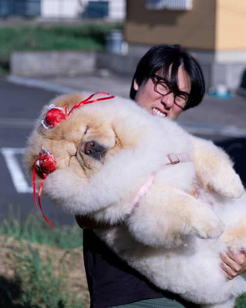 頭の装飾がとってもキュートなこまめちゃん