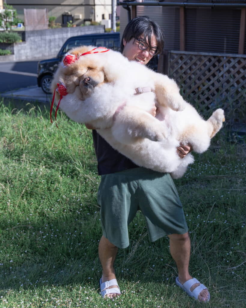 しかし体重はほぼ変わらず