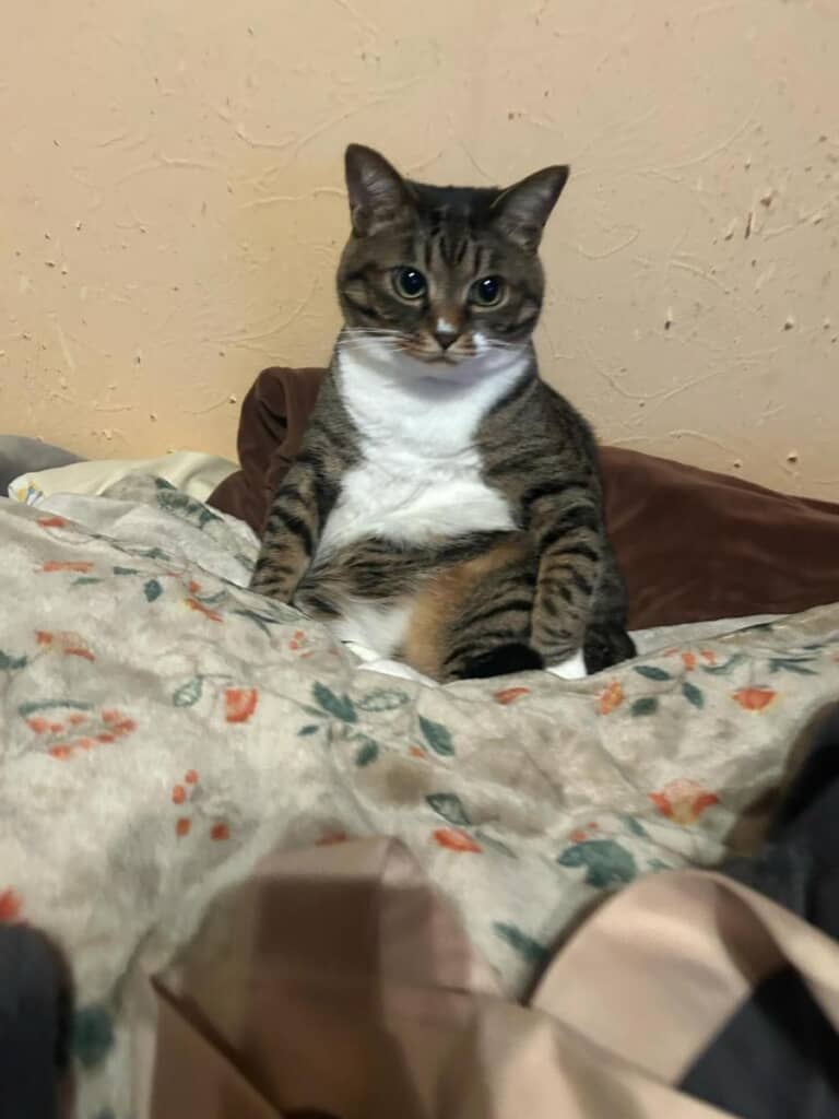 表情とミスマッチで面白い！