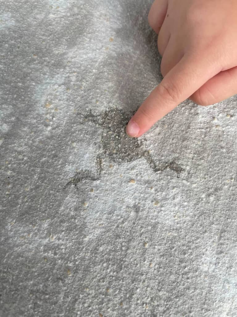 気に入って指差している娘ちゃん