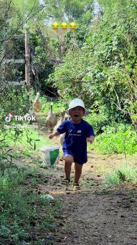 泣きながら走って来た息子