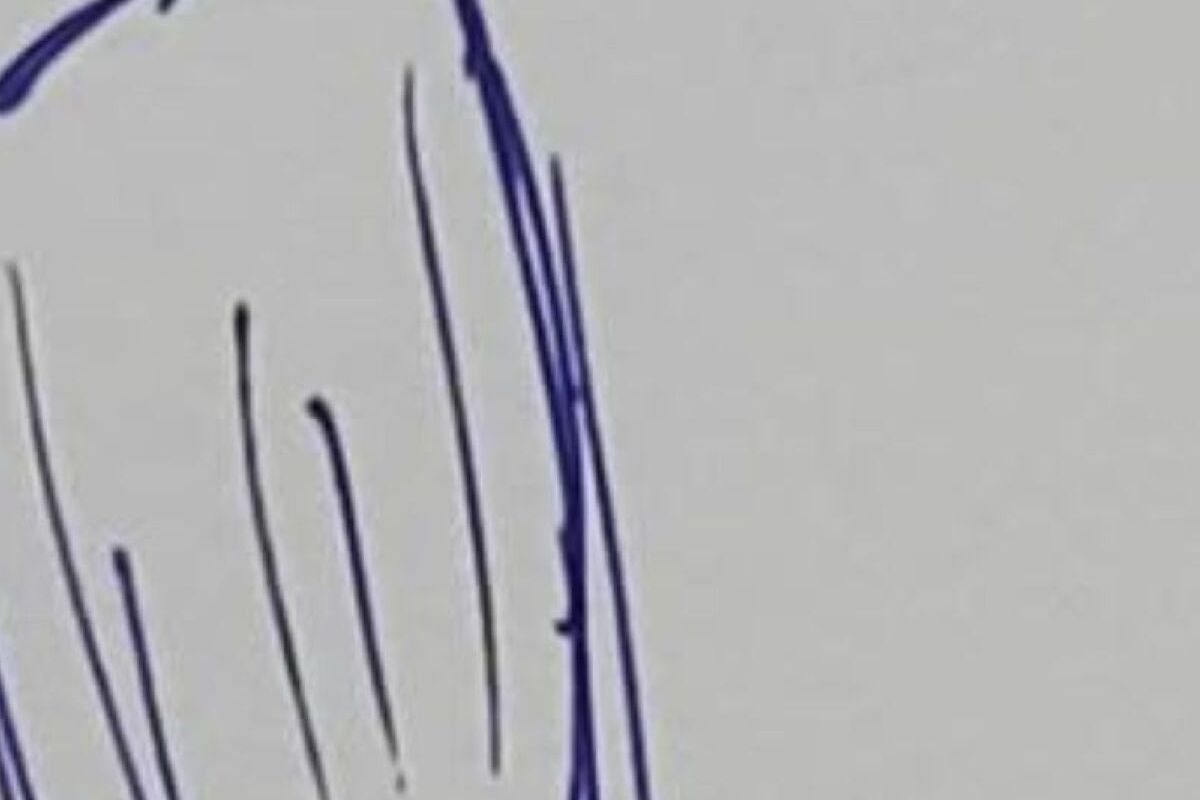 娘「セミ描いて」→母が何も見ずに描いたら……　「なんか違う！」と言われた“まさかの仕上がり”に反響「おじゃる丸の蛍？」 | 絵画 ねとらぼ