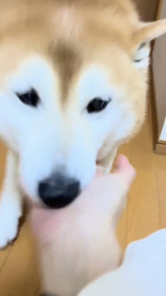 たくさん甘えました