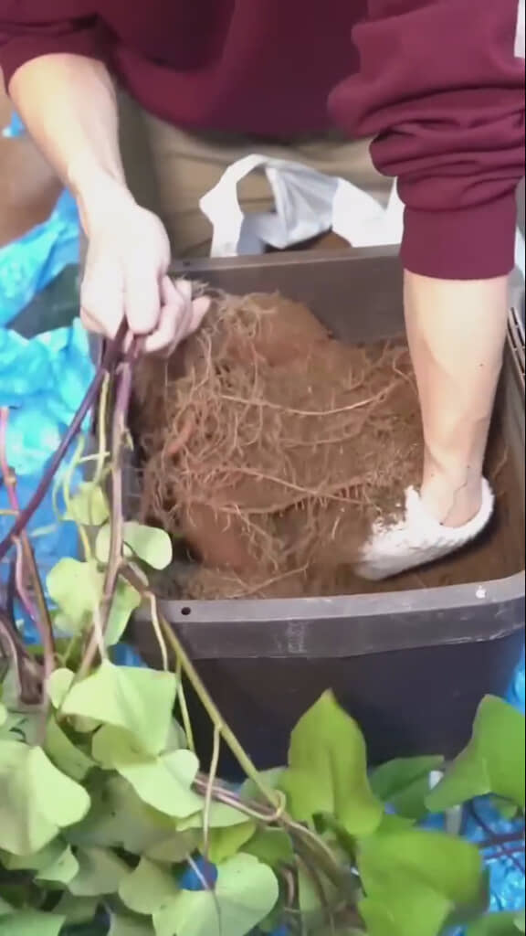 最後は底から思い切って！