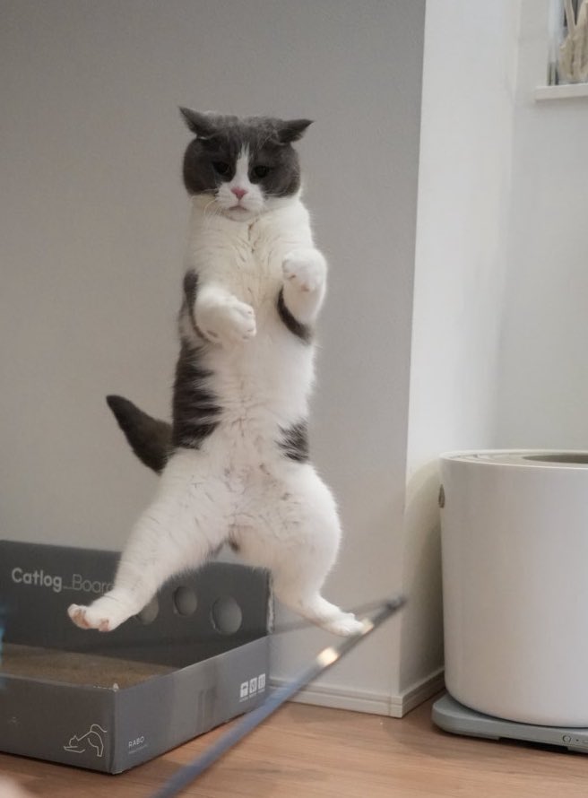 どこかで見たことあるようなポーズ