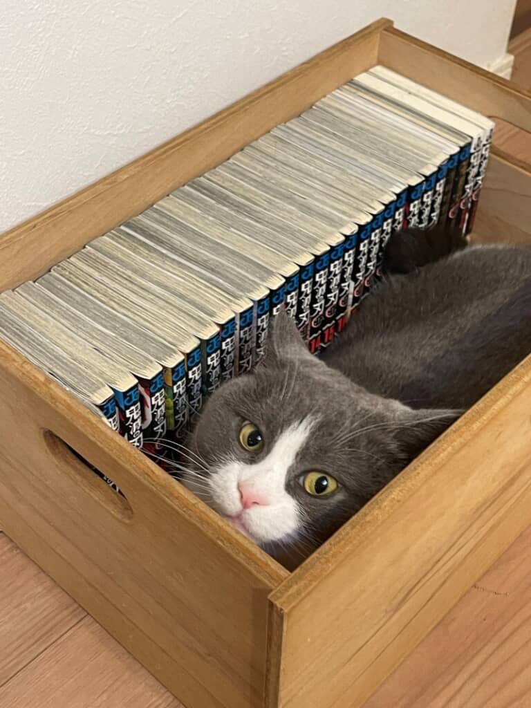 『鬼滅の刃』の漫画とともに箱に収まっているまるくん