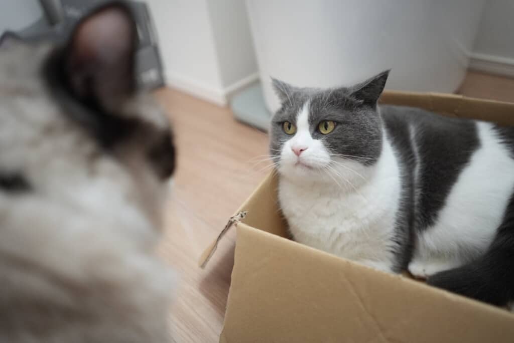 コテツくんにお説教されているまるくん