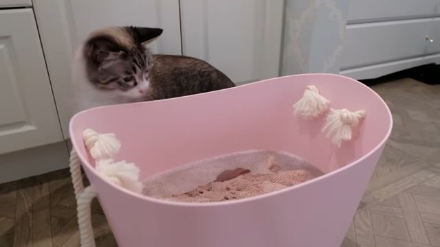 水通しをします