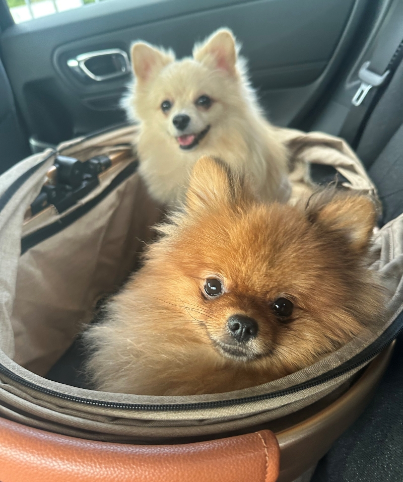 ワクワク感が伝わる1枚（行く前）