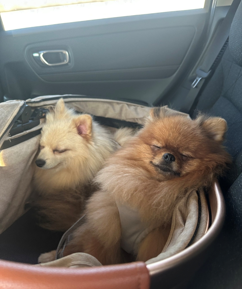 満足そうに眠るふたり（行った後）