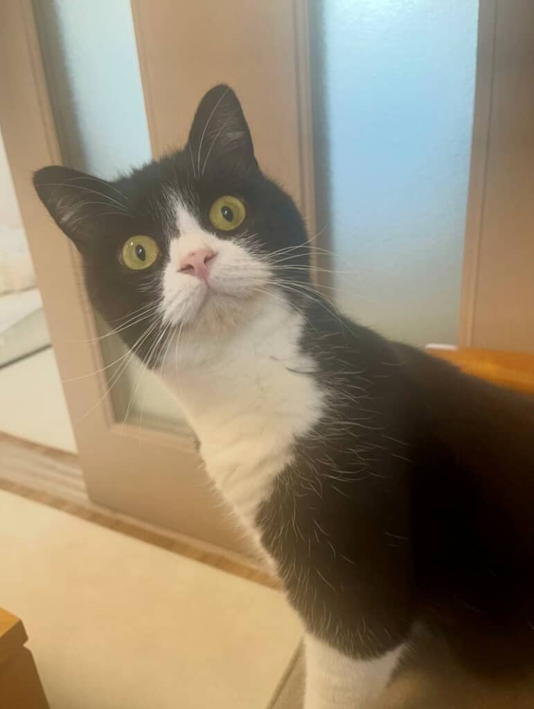 変顔もかわいいたろうくん