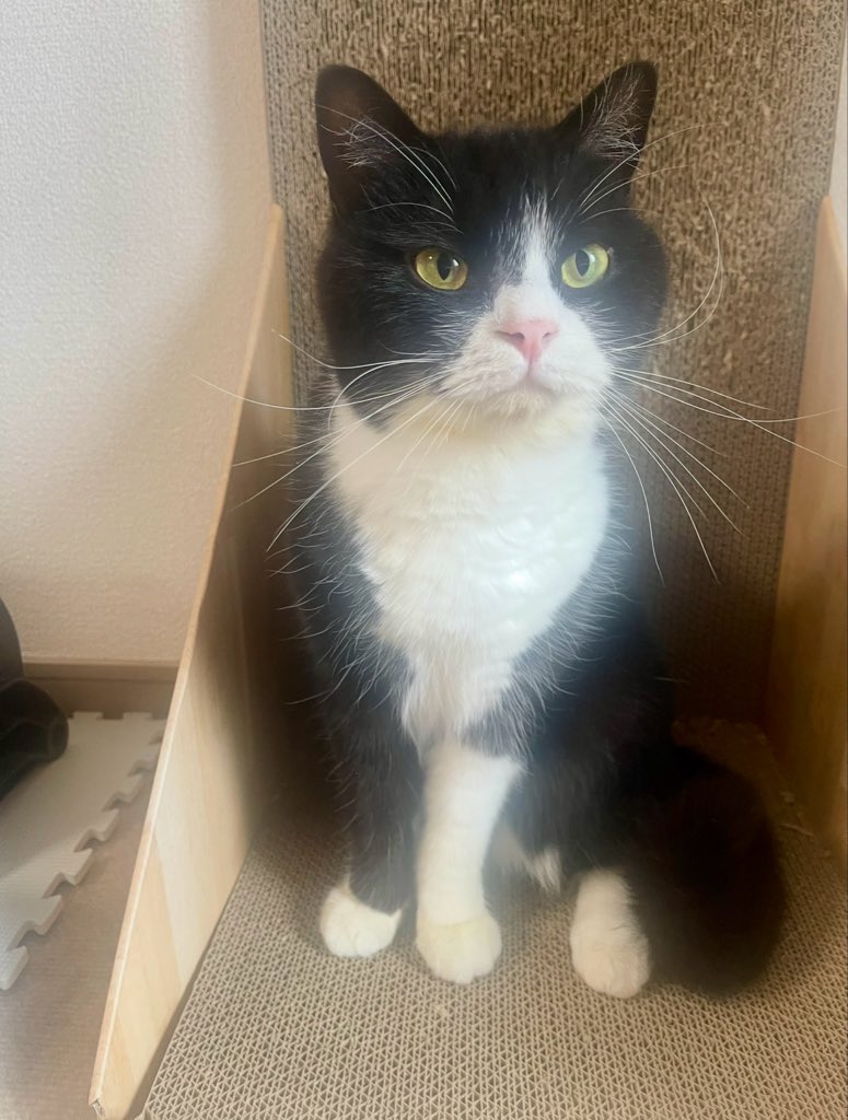 やけにイケメンです