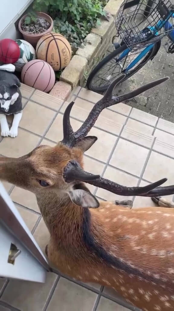 なにも占拠しなくても～