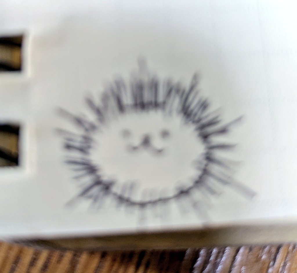 ウニ状態の猫もかわいい