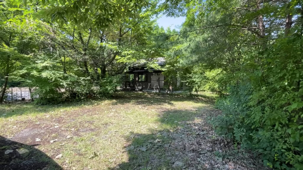 購入直後の森の家です