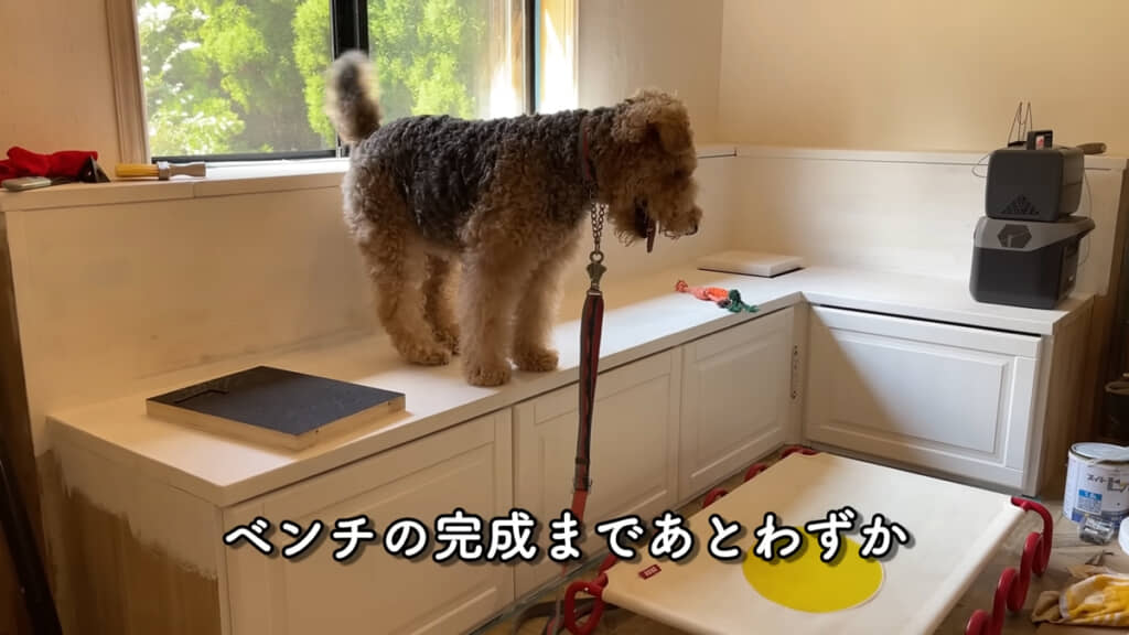 収納兼、きなこちゃんのお外観察用のベンチです