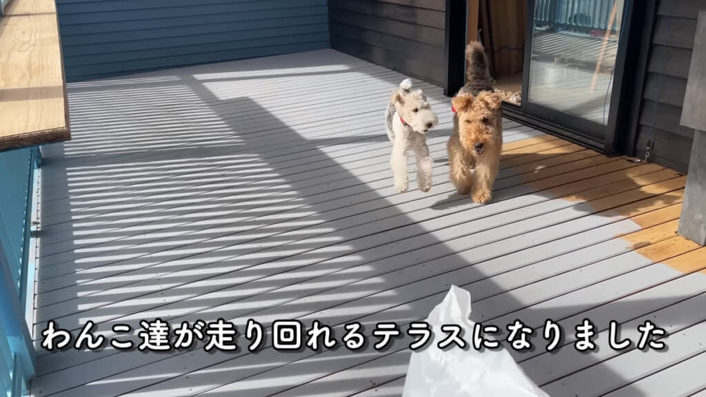 ワンコたちが走り回れるテラスになりました◎