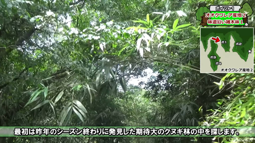 去年発見したポイントを探索していきます