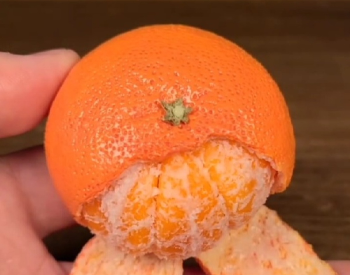 「いや、待って!?」むきたてのみかんかと思ったら……　“脳がバグる”まさかの正体に「これはヤバい」「リアルすぎ！」【海外】（1/3） | ライフスタイル ねとらぼ