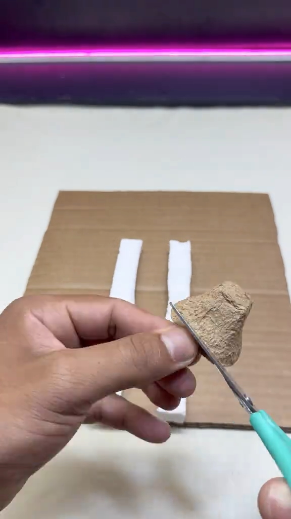 紙製卵パックの卵が収まる部分を切り取る