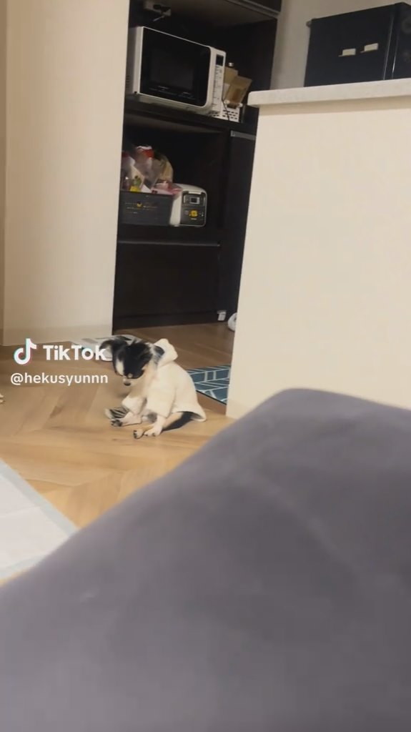 なんだかとても落ち込んでいるように見えるパンダちゃん