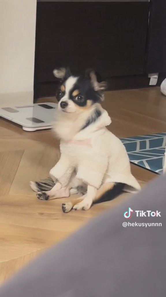 こっち見てくれました！