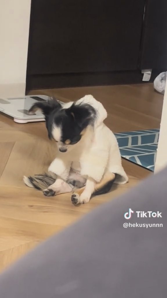 しかし結局……