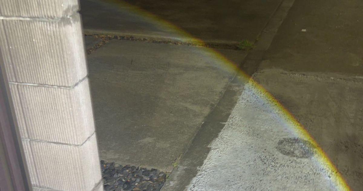 大切なぬいぐるみを落としてしまった彼女→彼氏が探しに行くと……「最高すぎんだろ」　“驚きの結末”が640万表示（1/2） | ライフスタイル ねとらぼ