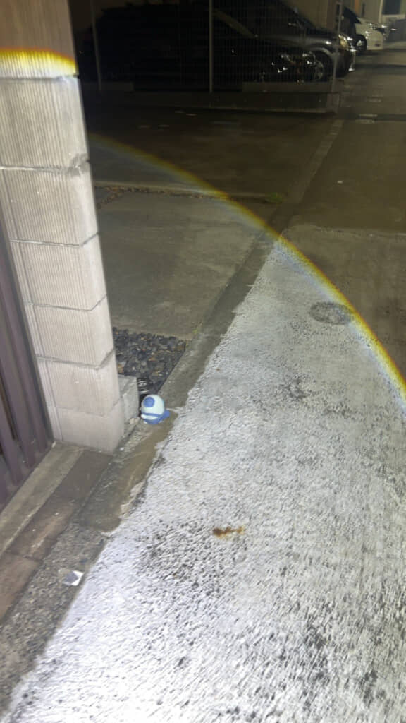 すみっコにいる……