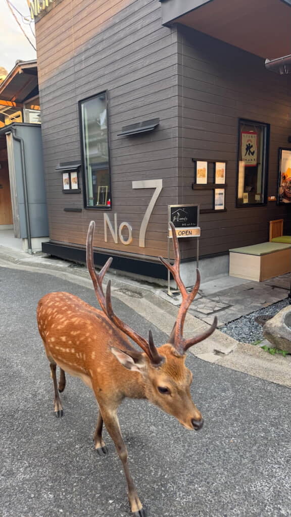 店舗前をシカがお散歩