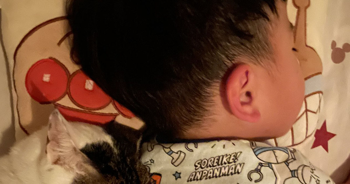 すやすや眠る3歳息子→手元を見てみると……　思わず笑顔になる光景が560万表示「これが本当のハッピーセット」（1/3） | 育児 ねとらぼ