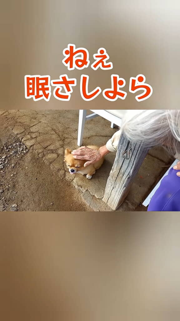 優しいおばあちゃん