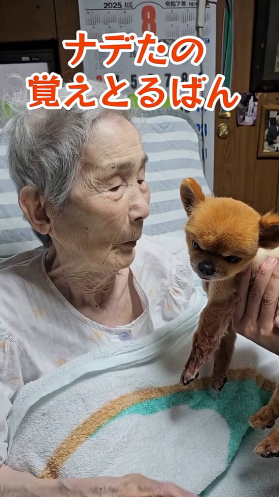 なでたことを覚えてくれていたおばあちゃん