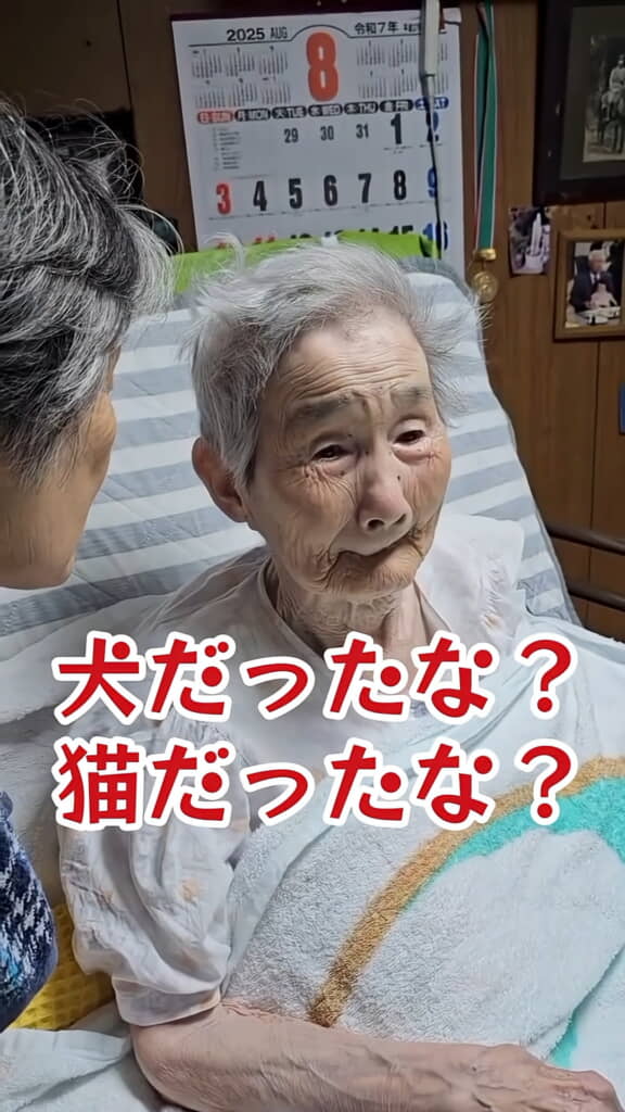 犬か猫かを聞いてみると……