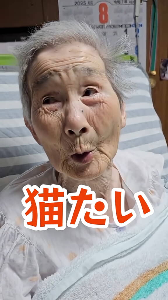 やっぱり猫だった！