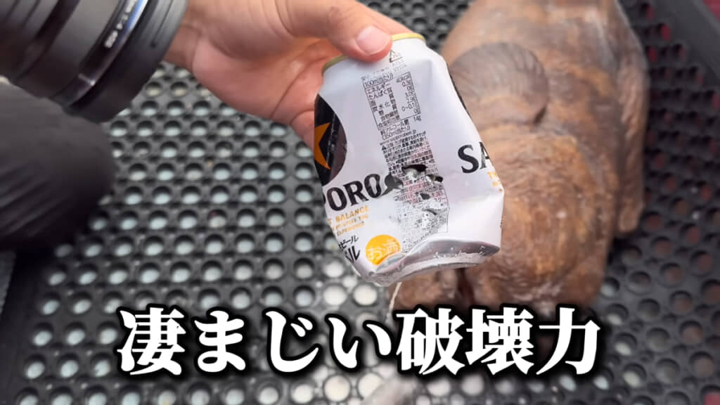 すさまじいパワーの持ち主です