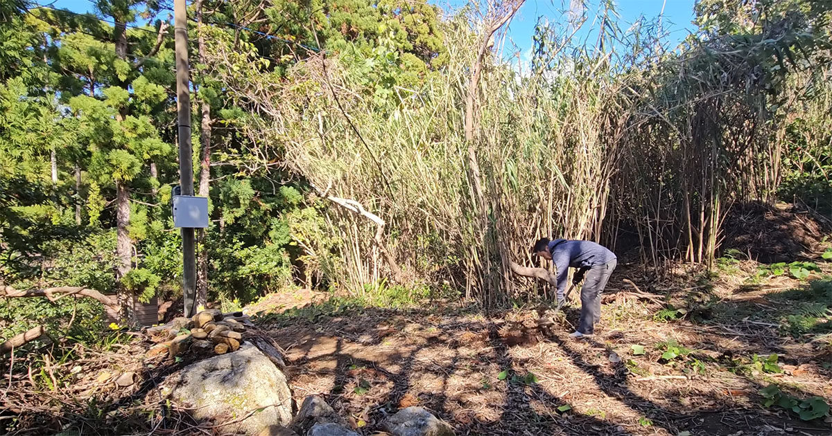 山の中の“何もない土地”→30代男性が作り上げたのは…… 夢の詰まった1坪DIYに「ほんとすごい」「涙が止まりません」(1/3) | リフォーム・リノベーション・DIY ねとらぼ