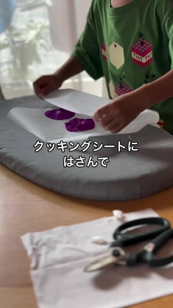 朝顔の花をクッキングシートに挟んで