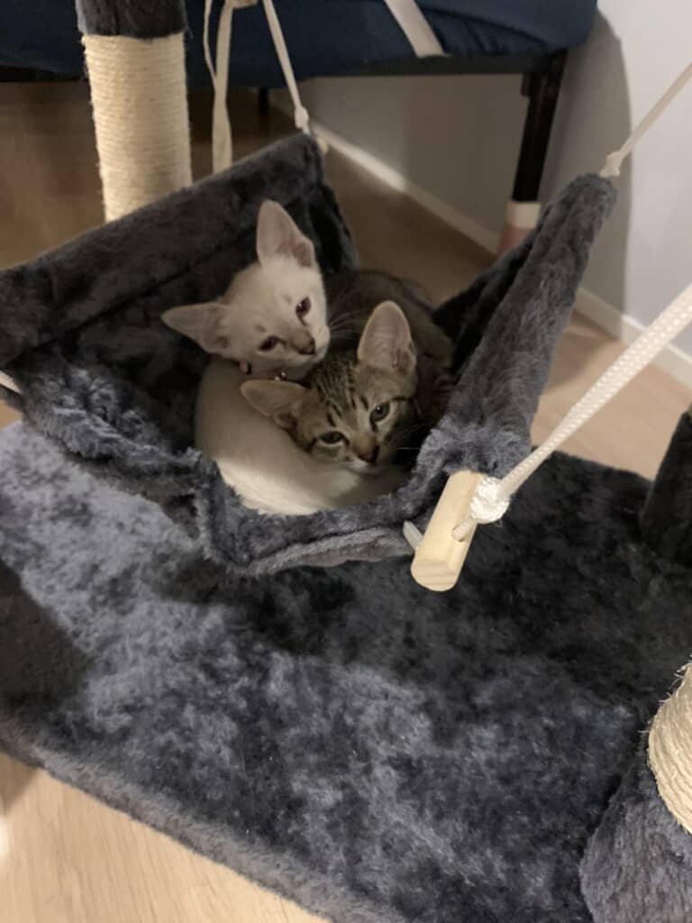 寝る時ももちろん一緒