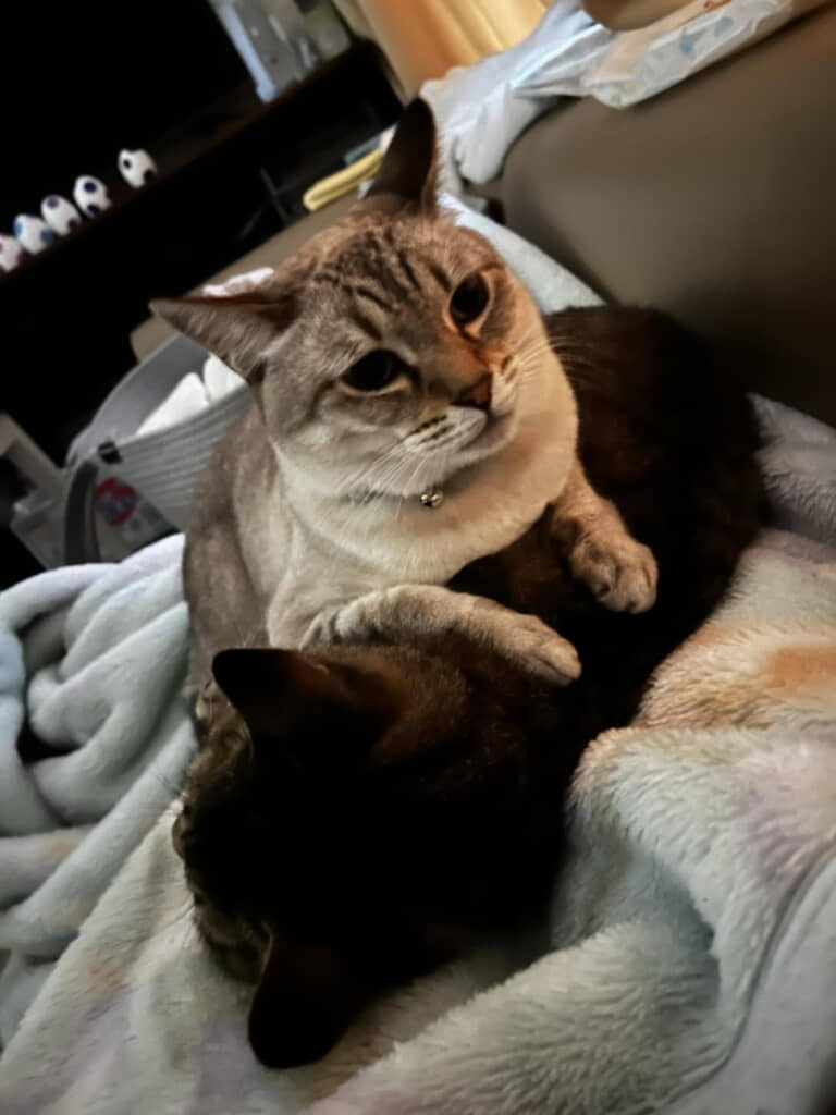 6年後の今のふたり